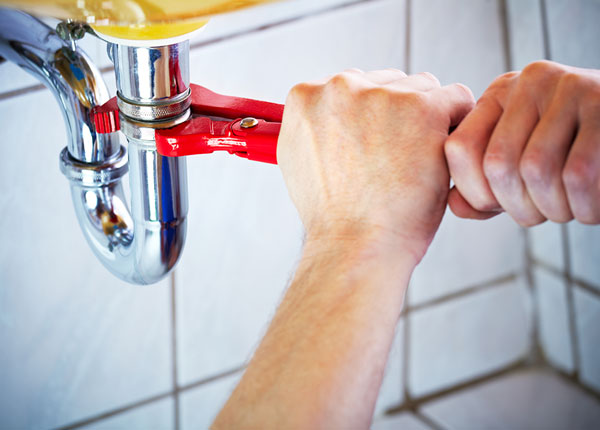 About Saint Bernard Plumbers